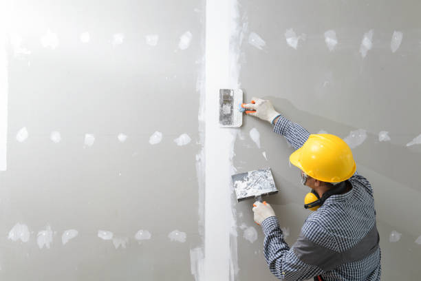 Reliable Breckenridge Hills, MO Drywall & Painting Services Solutions